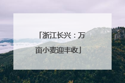 浙江长兴：万亩小麦迎丰收