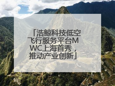 浩鲸科技低空飞行服务平台MWC上海首秀，推动产业创新