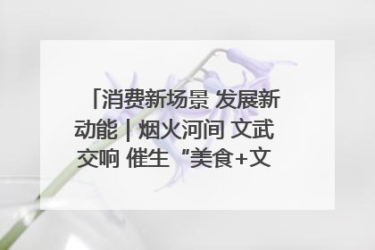 消费新场景 发展新动能｜烟火河间 文武交响 催生“美食+文化”消费新场景