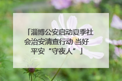 淄博公安启动夏季社会治安清查行动 当好平安“守夜人”
