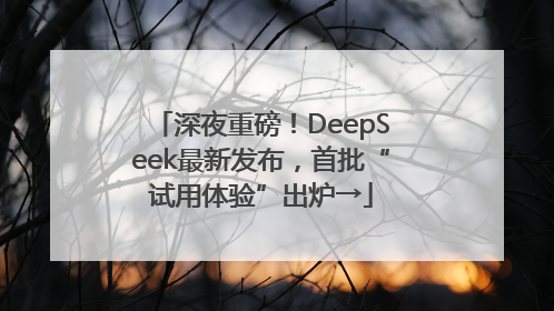 深夜重磅！DeepSeek最新发布，首批“试用体验”出炉→