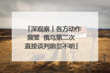 深观察丨各方动作频繁  俄乌第二次直接谈判前景不明