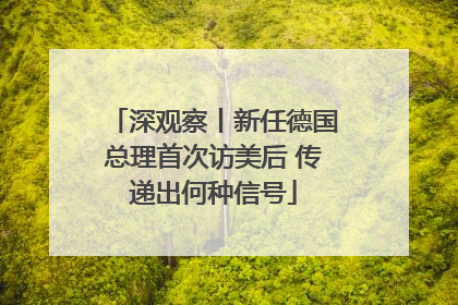 深观察丨新任德国总理首次访美后 传递出何种信号