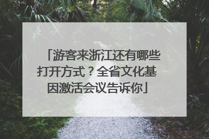 游客来浙江还有哪些打开方式？全省文化基因激活会议告诉你