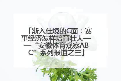 渐入佳境的C面：赛事经济怎样培育壮大——“安徽体育观察ABC”系列报道之三