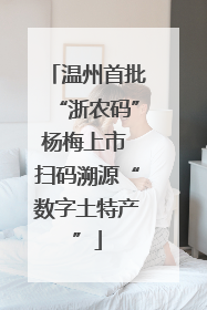 温州首批“浙农码”杨梅上市 扫码溯源“数字土特产”