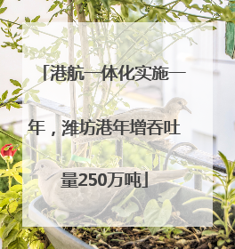 港航一体化实施一年，潍坊港年增吞吐量250万吨