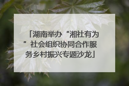 湖南举办“湘社有为”社会组织协同合作服务乡村振兴专题沙龙