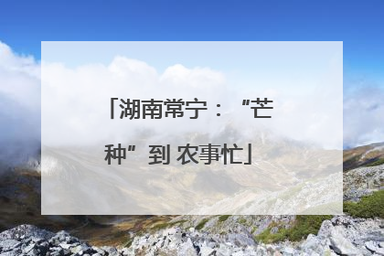湖南常宁：“芒种”到 农事忙