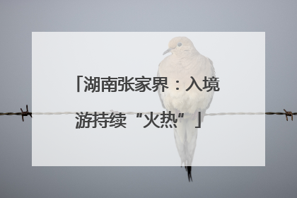 湖南张家界：入境游持续“火热”