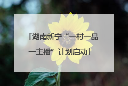 湖南新宁“一村一品一主播”计划启动