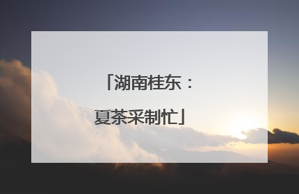 湖南桂东：夏茶采制忙