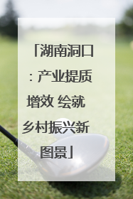 湖南洞口：产业提质增效 绘就乡村振兴新图景