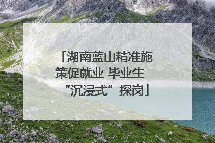 湖南蓝山精准施策促就业 毕业生“沉浸式”探岗