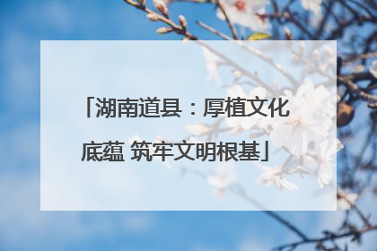 湖南道县：厚植文化底蕴 筑牢文明根基