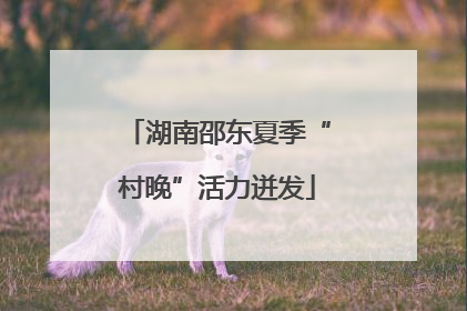 湖南邵东夏季“村晚”活力迸发