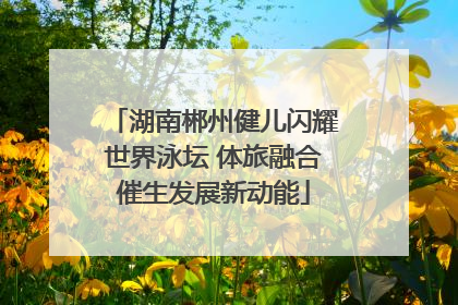 湖南郴州健儿闪耀世界泳坛 体旅融合催生发展新动能