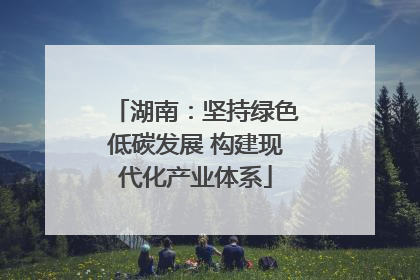 湖南：坚持绿色低碳发展 构建现代化产业体系