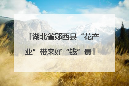 湖北省郧西县“花产业”带来好“钱”景