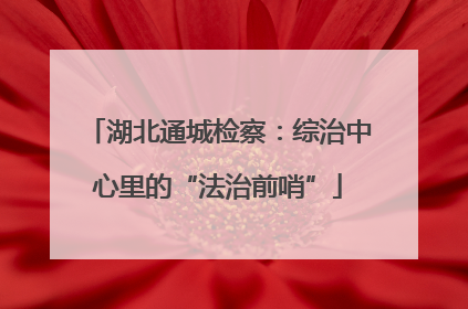 湖北通城检察：综治中心里的“法治前哨”