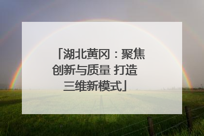 湖北黄冈：聚焦创新与质量 打造三维新模式