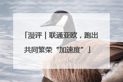 漫评｜联通亚欧，跑出共同繁荣“加速度”