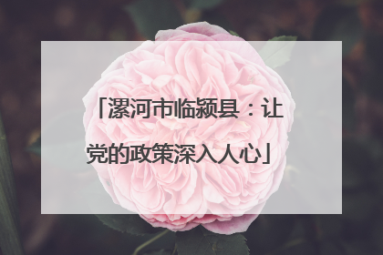 漯河市临颍县：让党的政策深入人心
