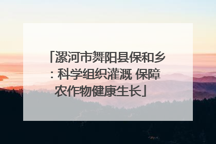 漯河市舞阳县保和乡：科学组织灌溉 保障农作物健康生长