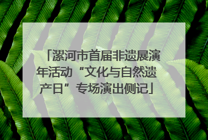 漯河市首届非遗展演年活动“文化与自然遗产日”专场演出侧记