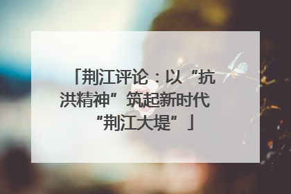 荆江评论：以“抗洪精神”筑起新时代“荆江大堤”