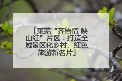 莱芜“齐鲁情 映山红”片区：打造全域景区化乡村、红色旅游新名片