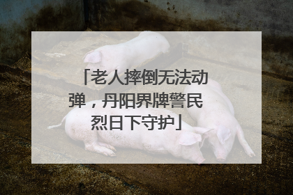 老人摔倒无法动弹，丹阳界牌警民烈日下守护