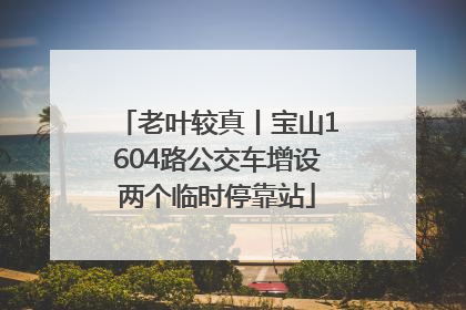 老叶较真丨宝山1604路公交车增设两个临时停靠站