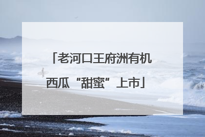 老河口王府洲有机西瓜“甜蜜”上市