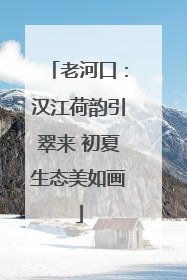老河口：汉江荷韵引翠来 初夏生态美如画