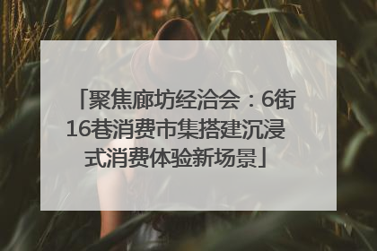 聚焦廊坊经洽会：6街16巷消费市集搭建沉浸式消费体验新场景