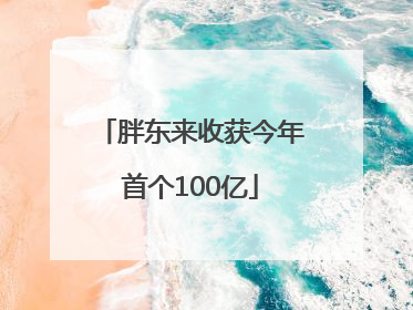 胖东来收获今年首个100亿