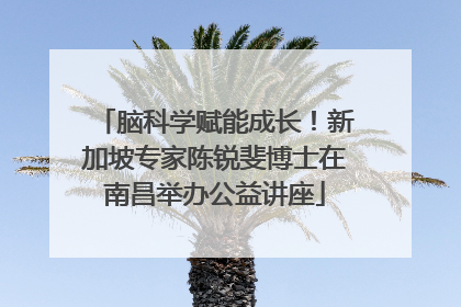 脑科学赋能成长！新加坡专家陈锐斐博士在南昌举办公益讲座
