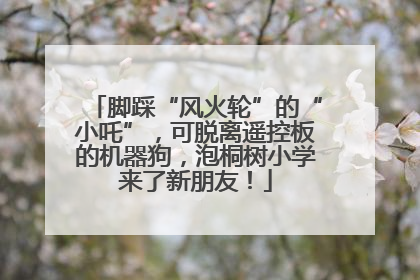 脚踩“风火轮”的“小吒”，可脱离遥控板的机器狗，泡桐树小学来了新朋友！