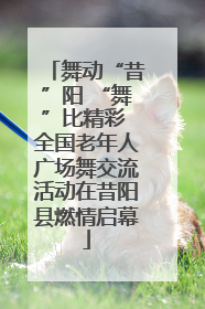 舞动“昔”阳 “舞”比精彩 全国老年人广场舞交流活动在昔阳县燃情启幕