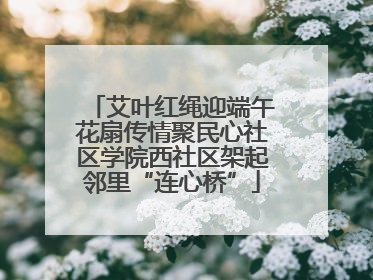 艾叶红绳迎端午花扇传情聚民心社区学院西社区架起邻里“连心桥”