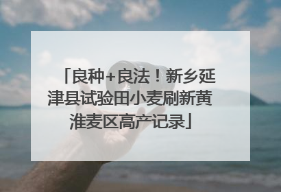 良种+良法！新乡延津县试验田小麦刷新黄淮麦区高产记录