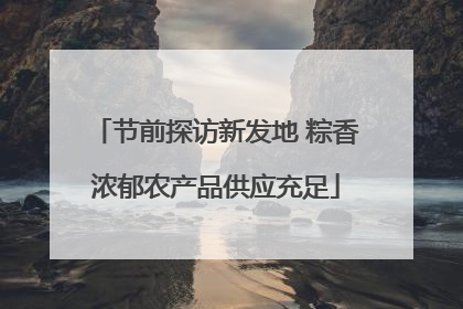 节前探访新发地 粽香浓郁农产品供应充足