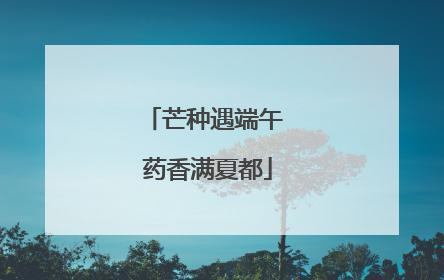 芒种遇端午 药香满夏都