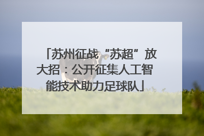 苏州征战“苏超”放大招：公开征集人工智能技术助力足球队