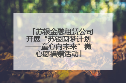 苏银金融租赁公司开展“苏银圆梦计划——童心向未来”微心愿捐赠活动