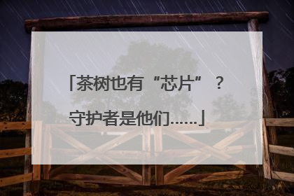 茶树也有“芯片”？守护者是他们……