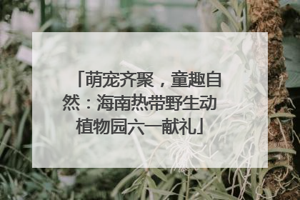 萌宠齐聚，童趣自然：海南热带野生动植物园六一献礼