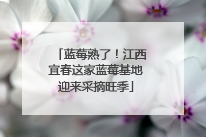 蓝莓熟了！江西宜春这家蓝莓基地迎来采摘旺季
