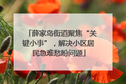 薛家岛街道聚焦“关键小事”，解决小区居民急难愁盼问题